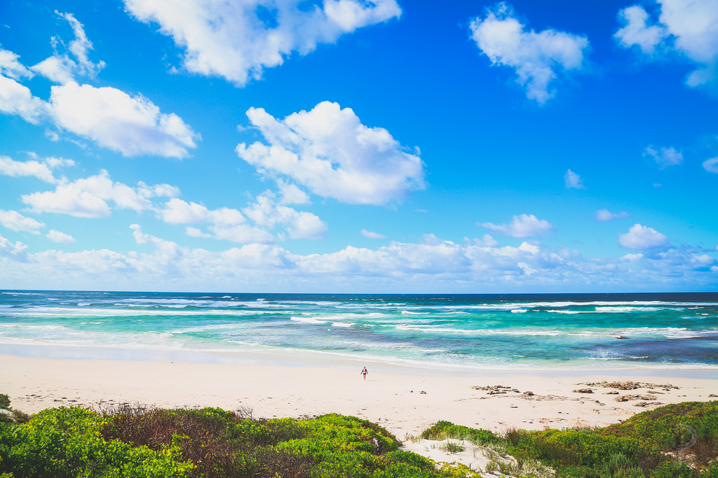 kangaroo island australia fotografia