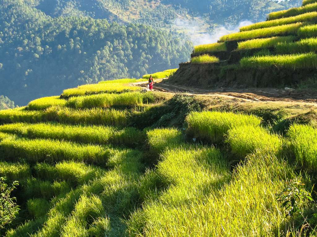 nepal flag fotografia