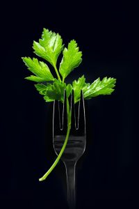 green plant in clear glass vase