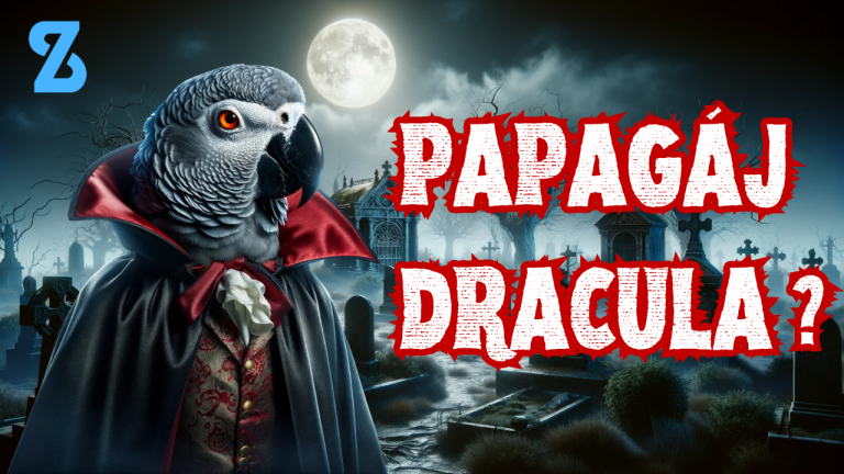 Zviera ako žiadne iné ! Papagáj, ktorý sa vola DRACULA vás ohúri svojim unikátnym vzhľadom. Plus ďalšie zaujímavosti ku káve