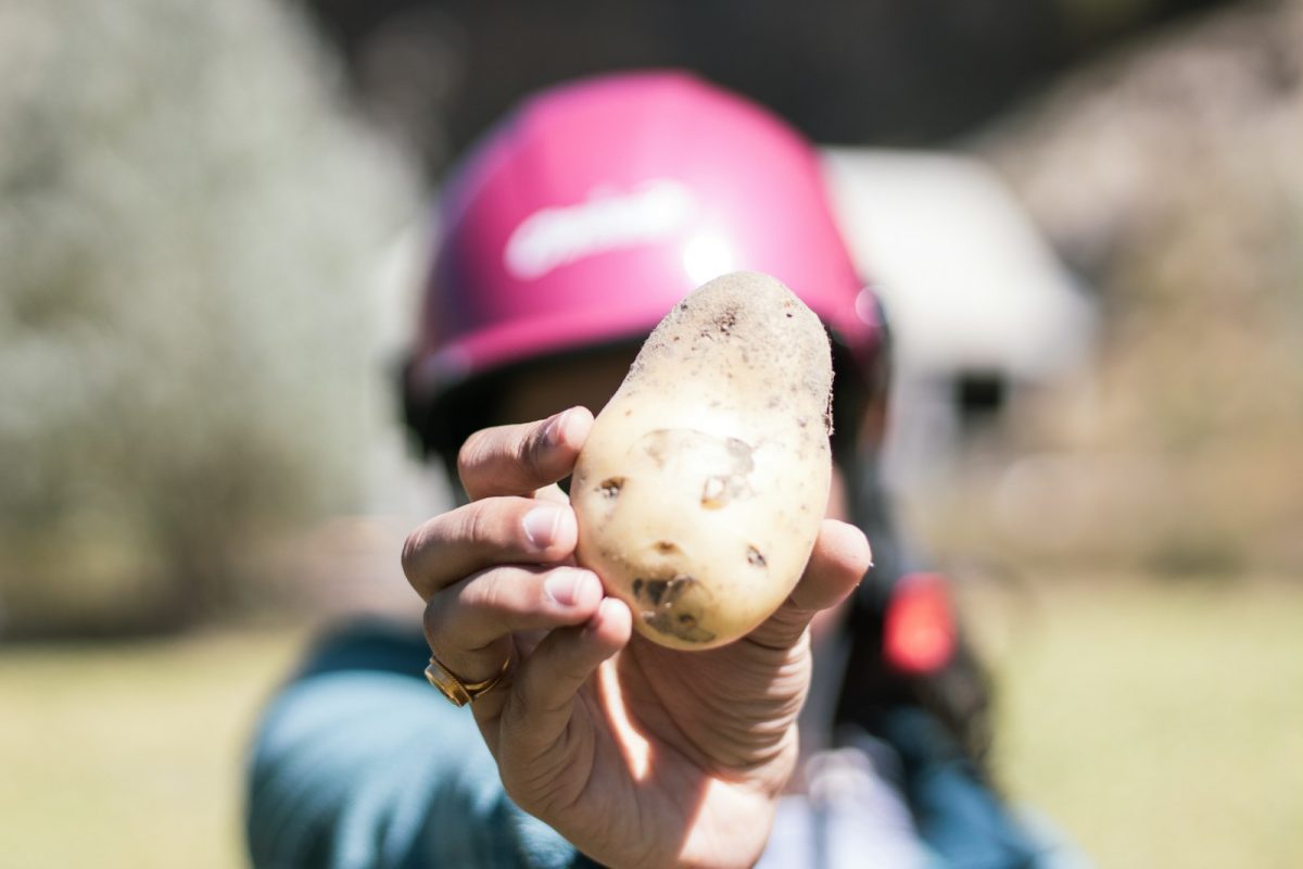 A person wearing a helmet is holding a potato